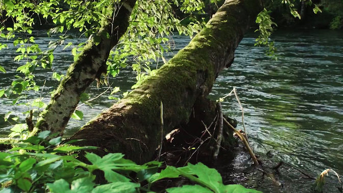 Anna Mitra Yoga - Return to Nature Retreat 2026